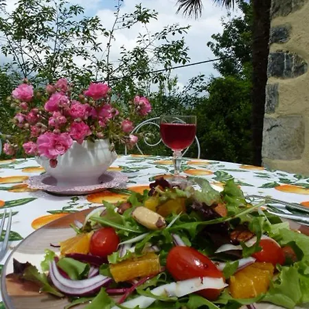 Ibaremborde : Des Pyrenees *