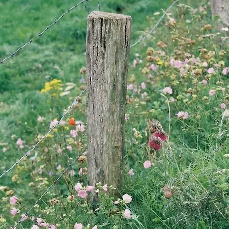 Ibaremborde : Des Pyrenees