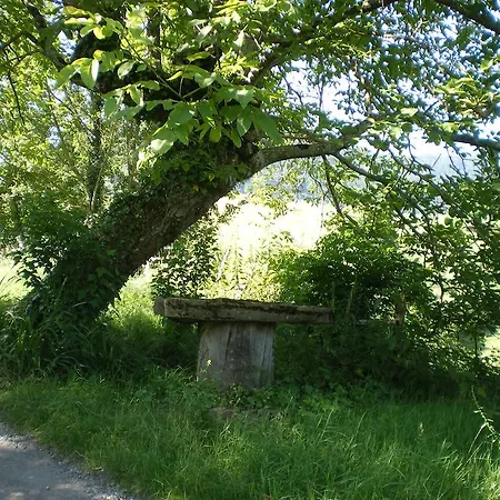 Ibaremborde : Des Pyrenees