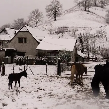Maison d'hôtes Ibaremborde : Des Pyrenees *
