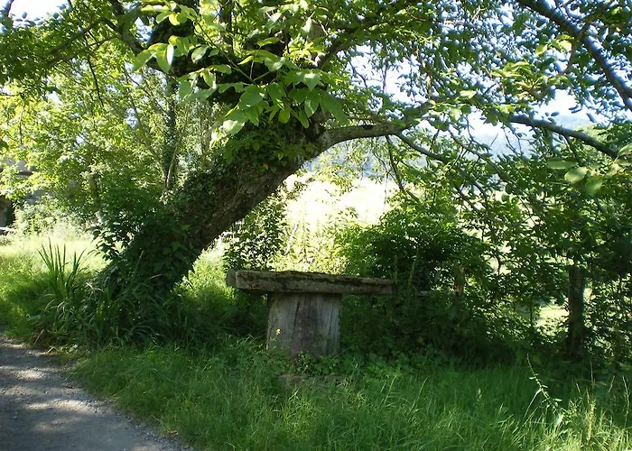 Ibaremborde : Des Pyrenees